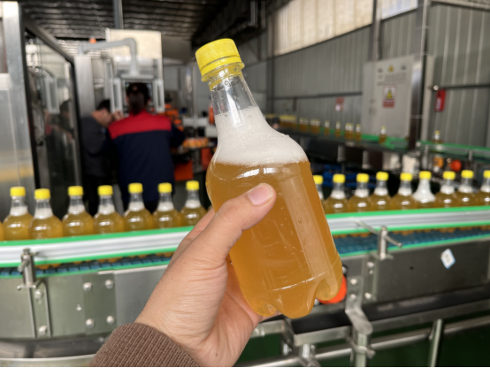 Exploring PET Bottle Beer Filling Machines